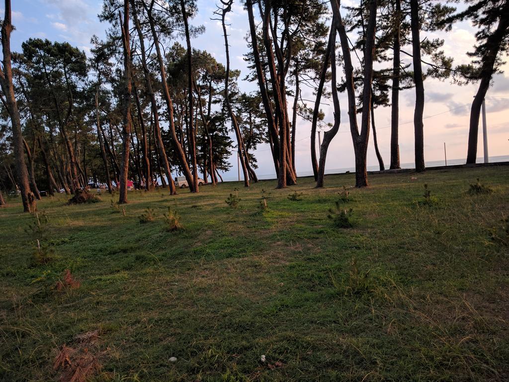 Kobuleti Pines Resort Extérieur photo